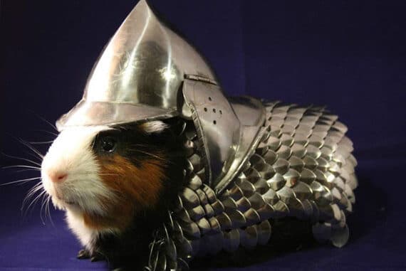 most expensive guinea-pig-armor