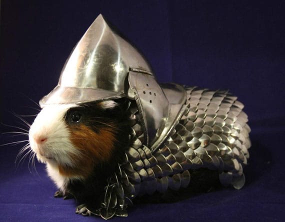 most expensive guinea-pig-armor