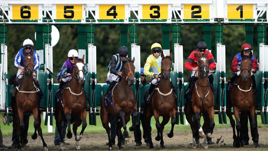 What Does SCR Mean In Horse Racing? Horse Racing Acronyms